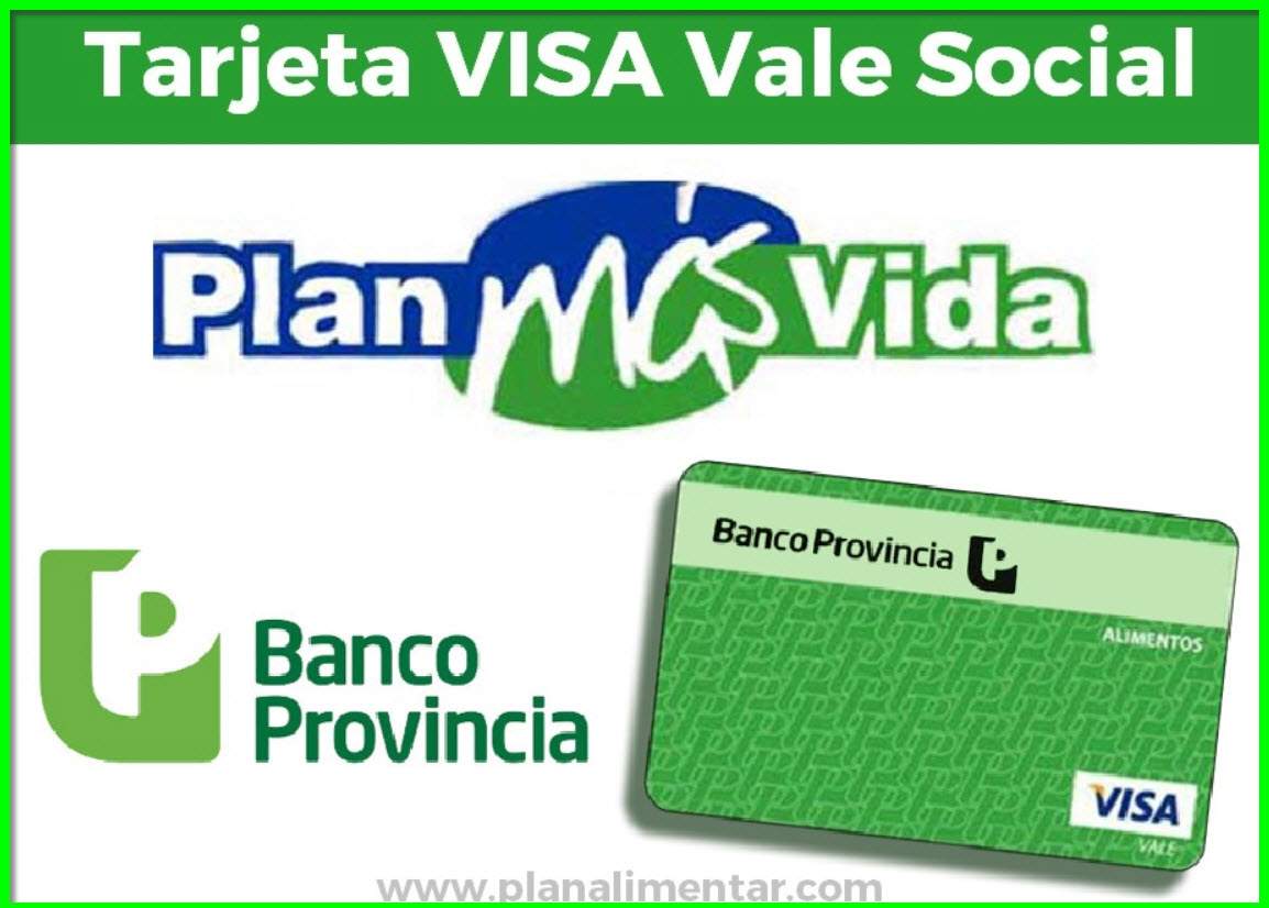 ¿Cómo consultar el saldo de tu tarjeta VISA Vale alimentos en Argentina?